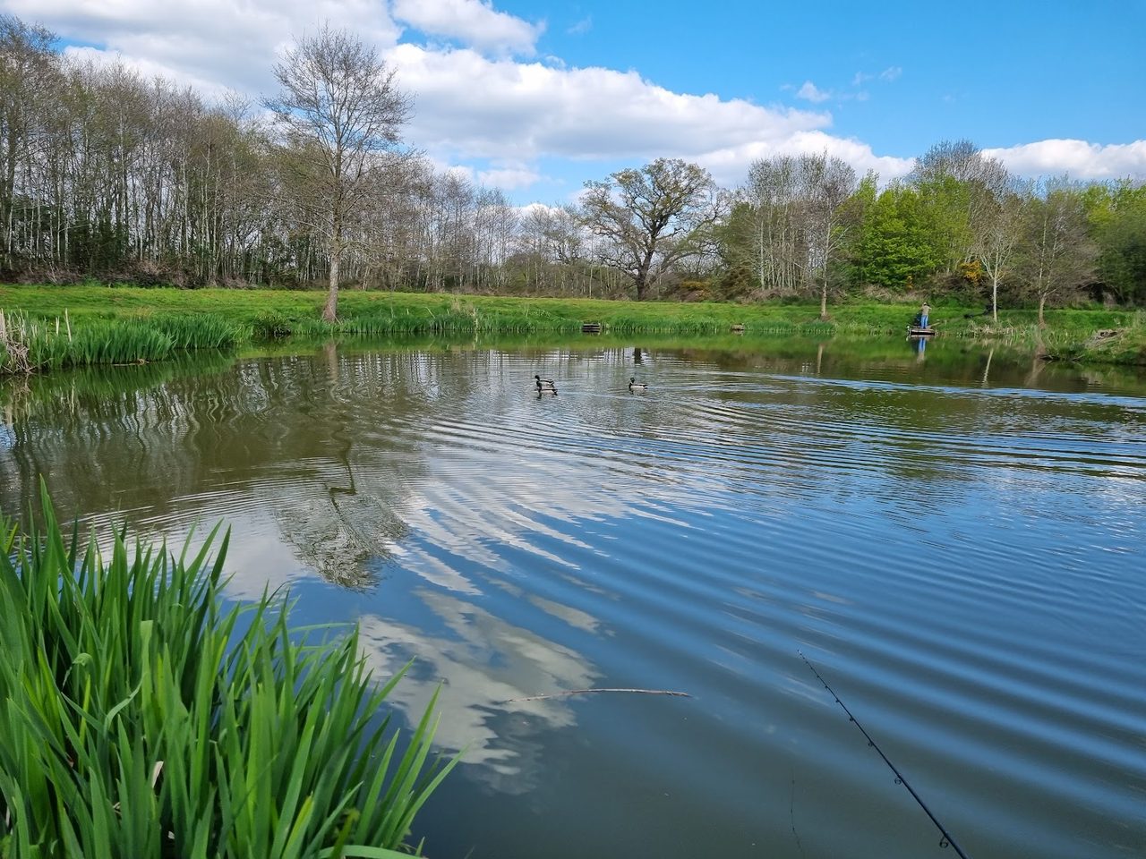 Packington Somers fishery