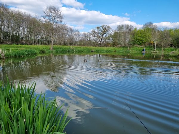 Packington Somers fishery