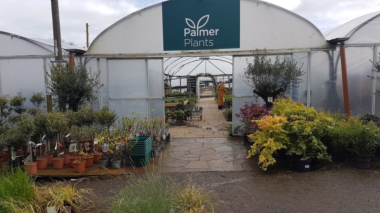 Palmer Plants