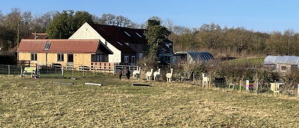 Pathways Care Farm