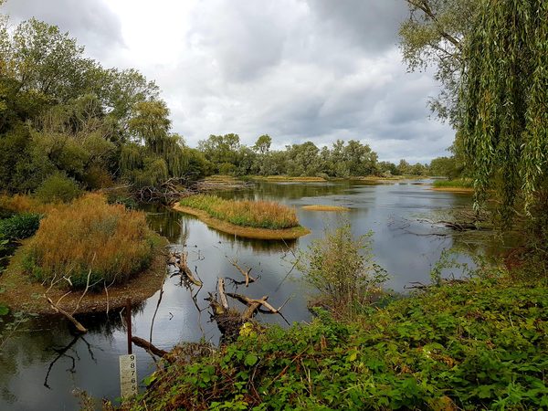 Paxton Pits Nature Reserve Tea Room