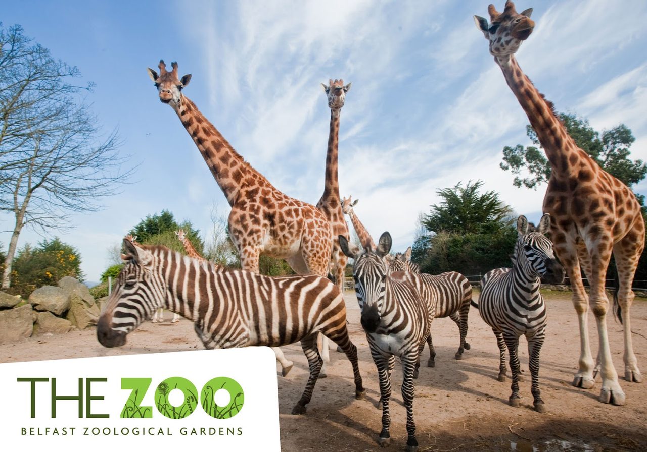 Percys Zoo Cafe