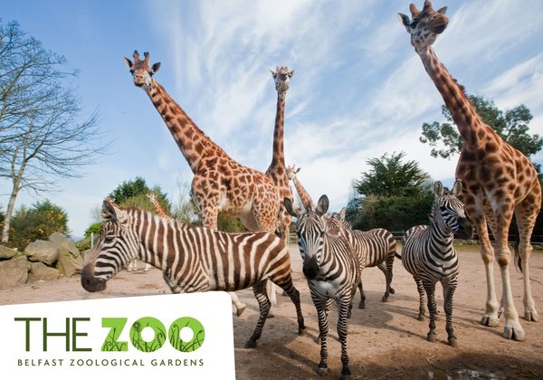 Percys Zoo Cafe
