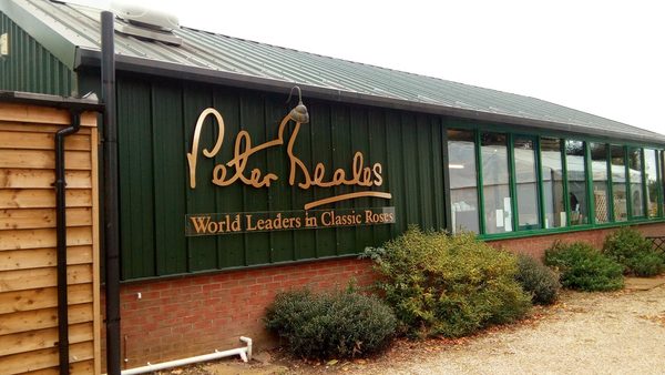 Peter Beales Garden Centre Ltd
