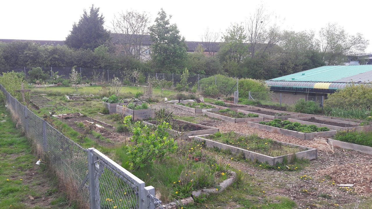 Pilton Youth Childrens Project