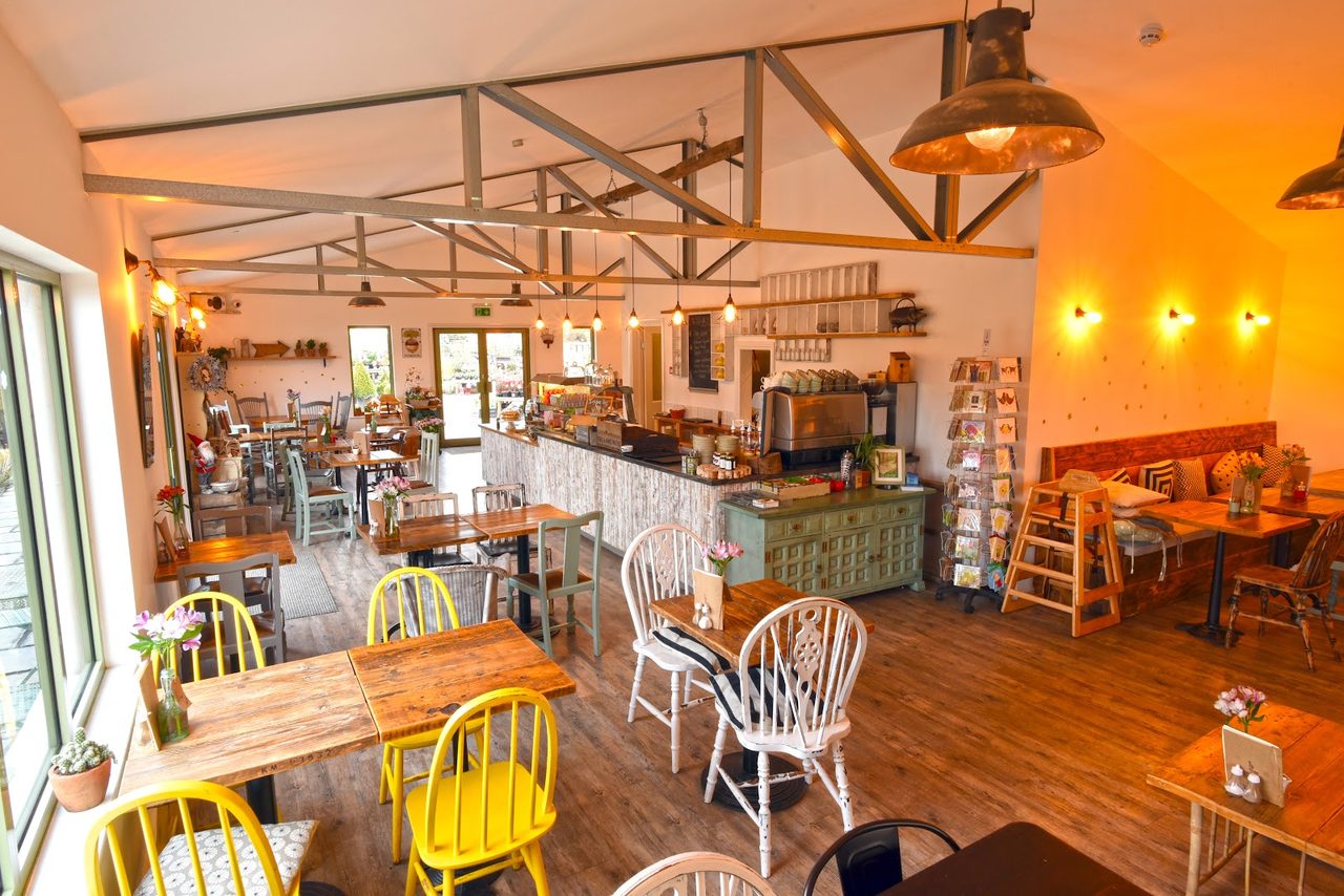 Pip Tree Cafe