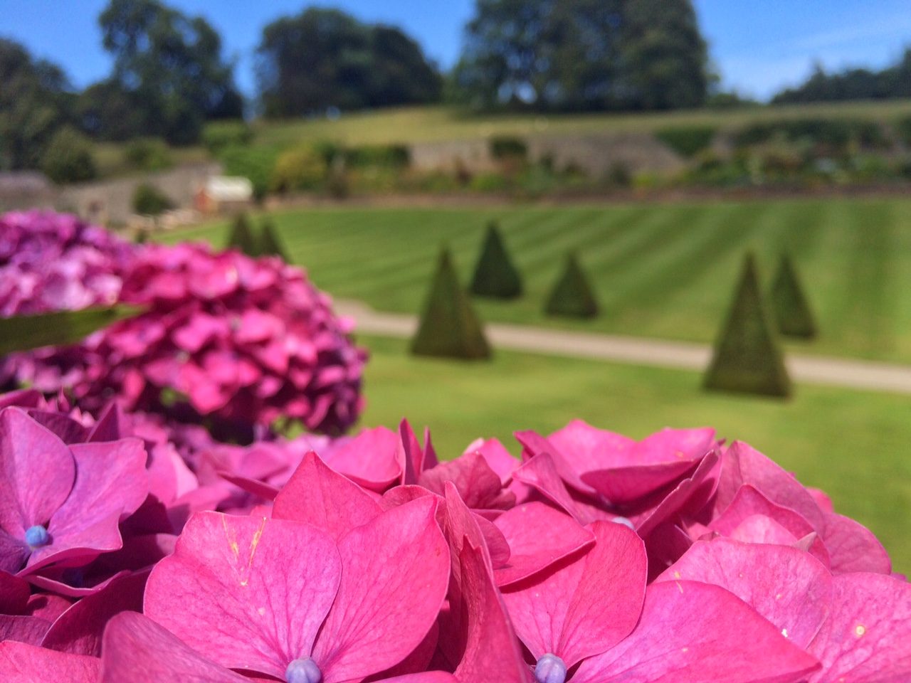 Plas Cadnant Tea Room