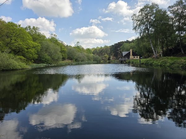 Pochard Lake Trout Fishery