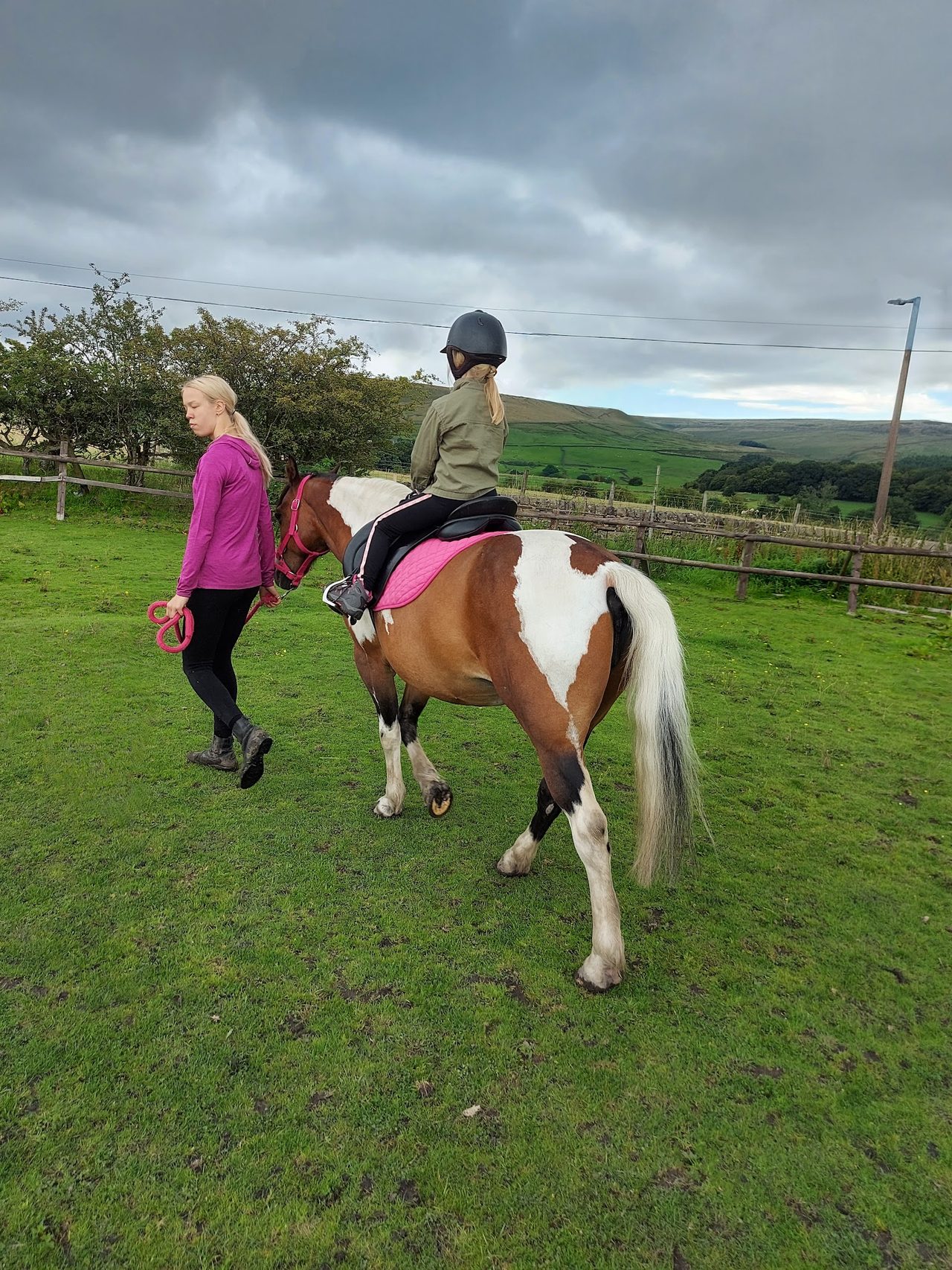 Pony Patch