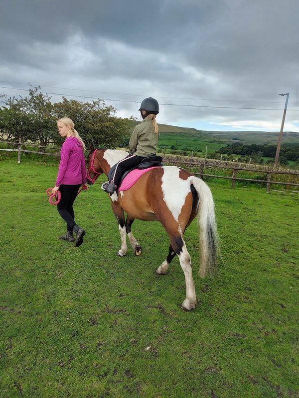 Pony Patch