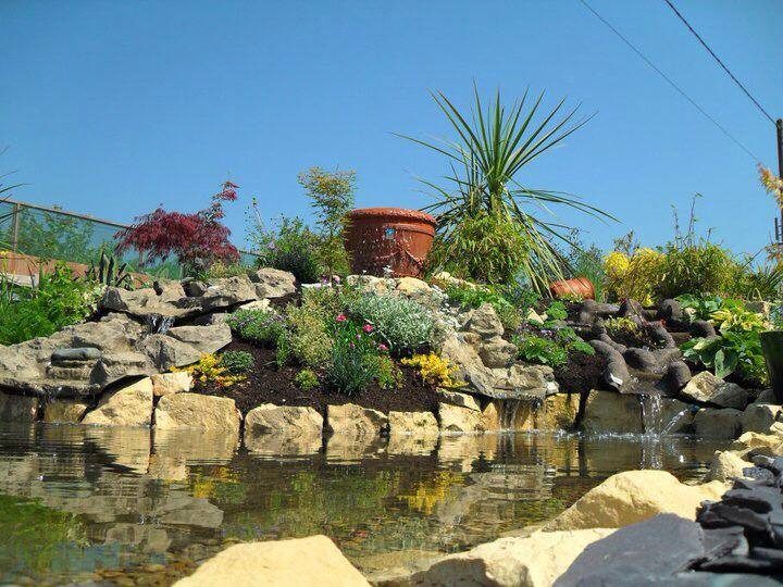 Porton Garden Aquatics & Pets - Cafe