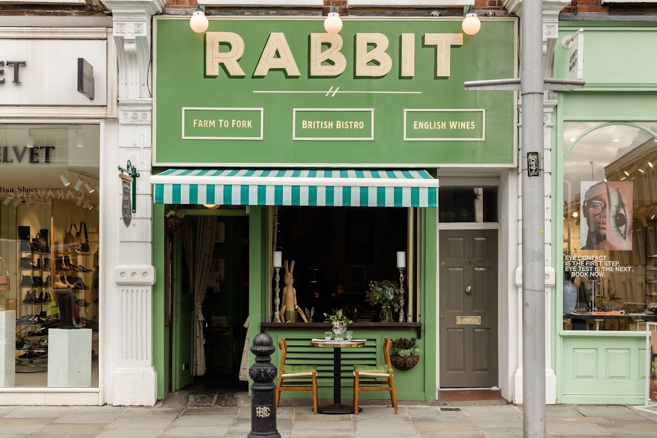 Rabbit