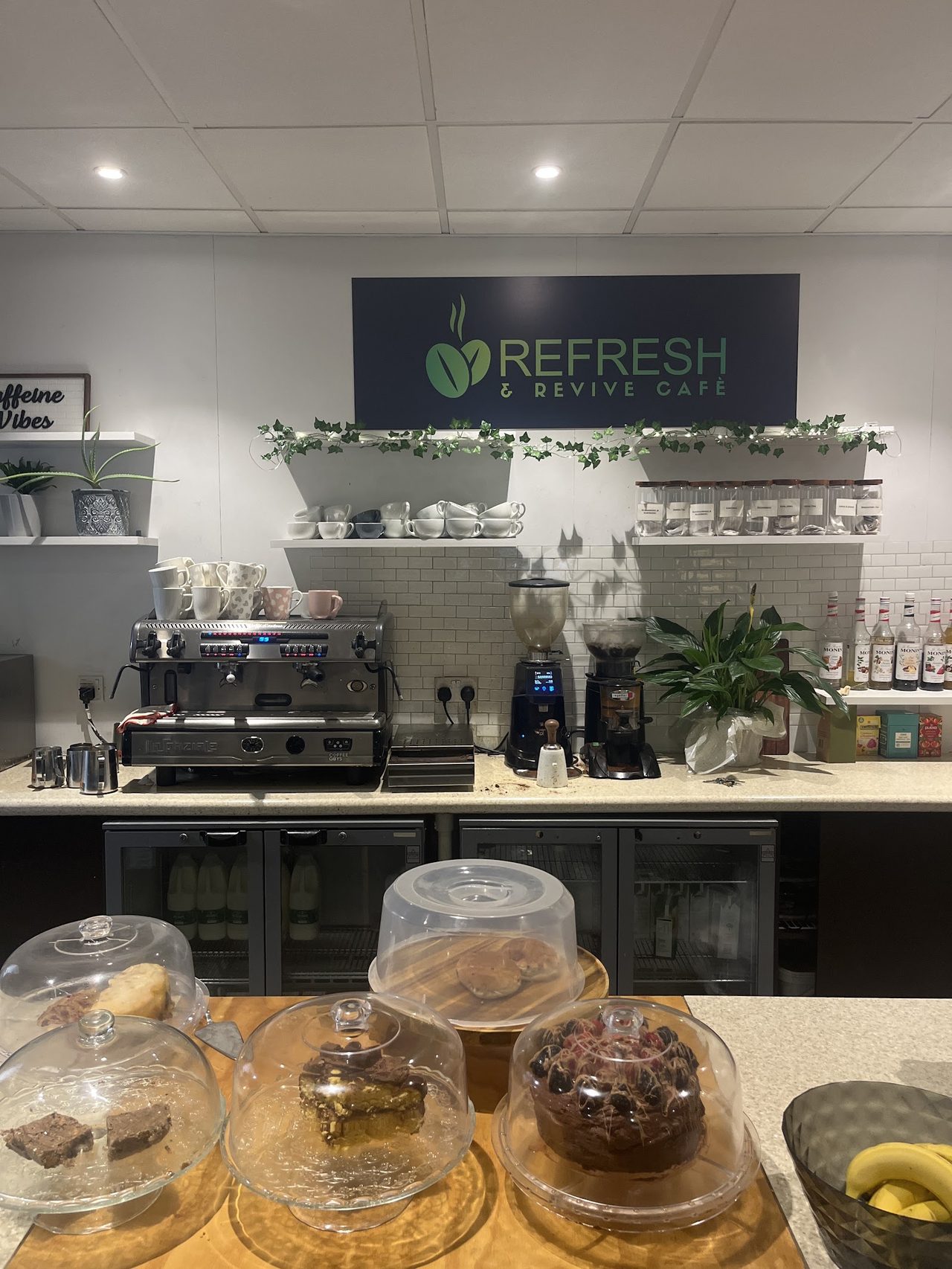 Refresh & Revive
