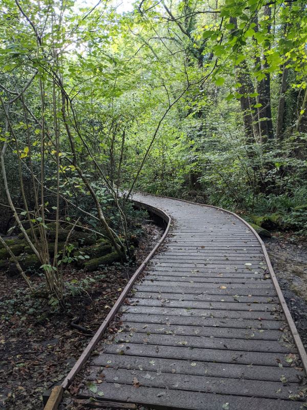 Rowhill Copse Nature Reserve Society (Field Centre)