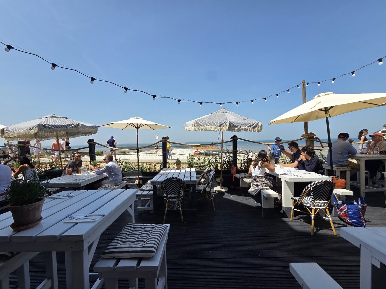 Royal Native Oyster Stores