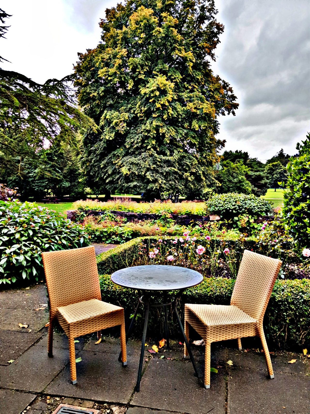 Rozelle House Tearoom