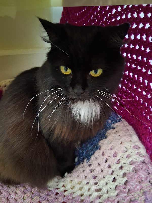 RSPCA Animal Centre