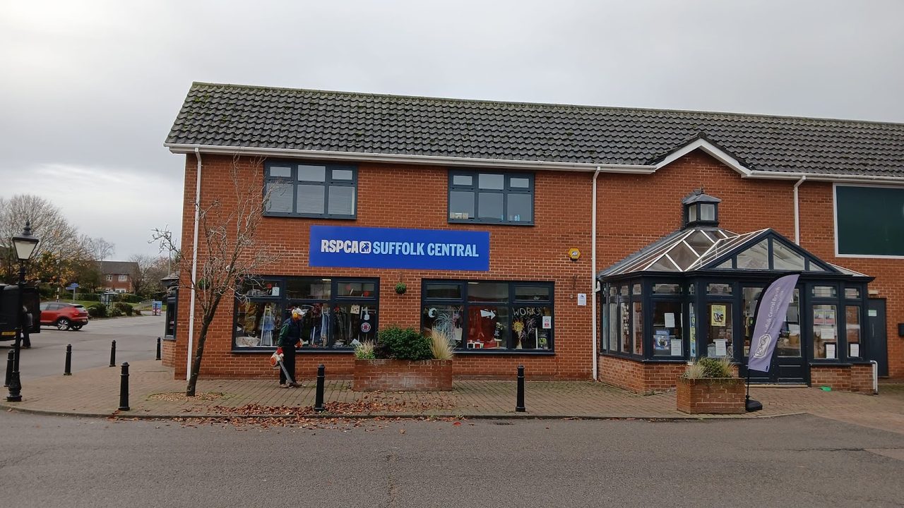 RSPCA Suffolk Central Shop Bury St Edmunds