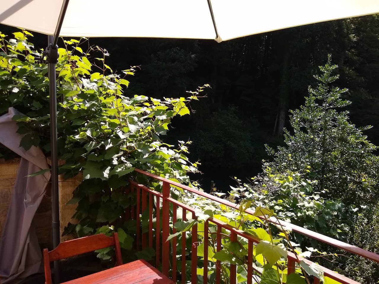 Ruskin Mill Cafe