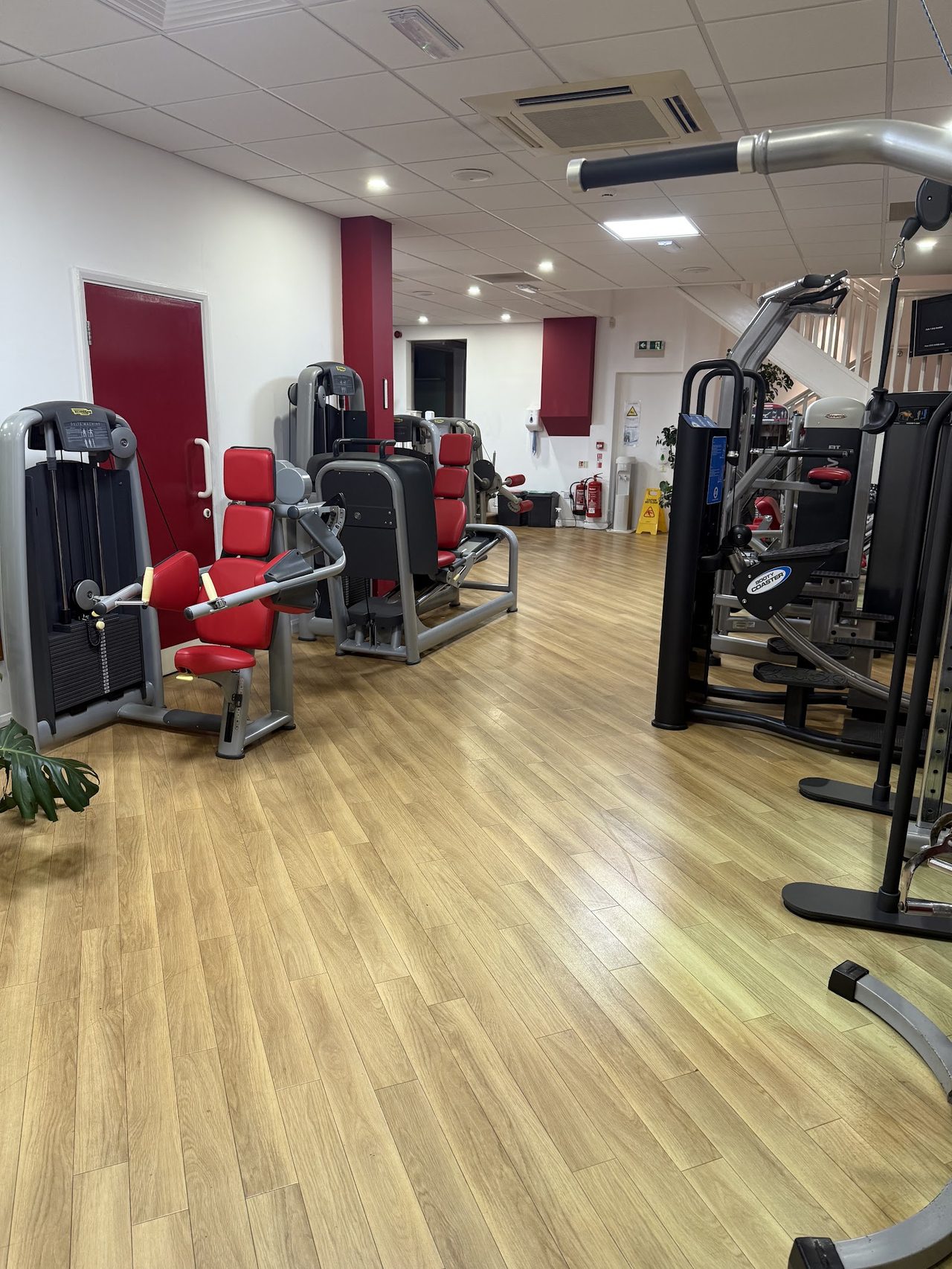 Saints Health And Fitness