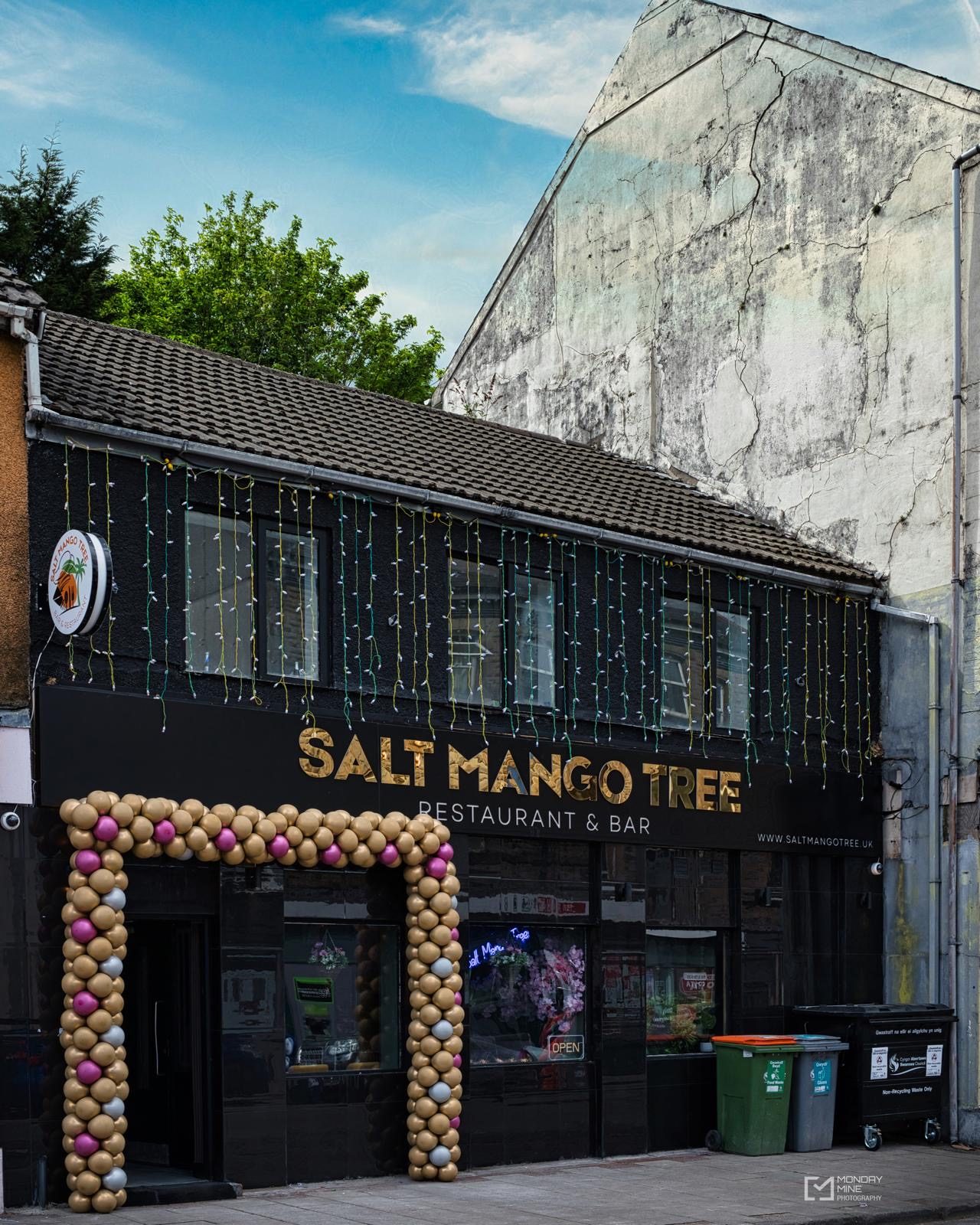 Salt Mango Tree