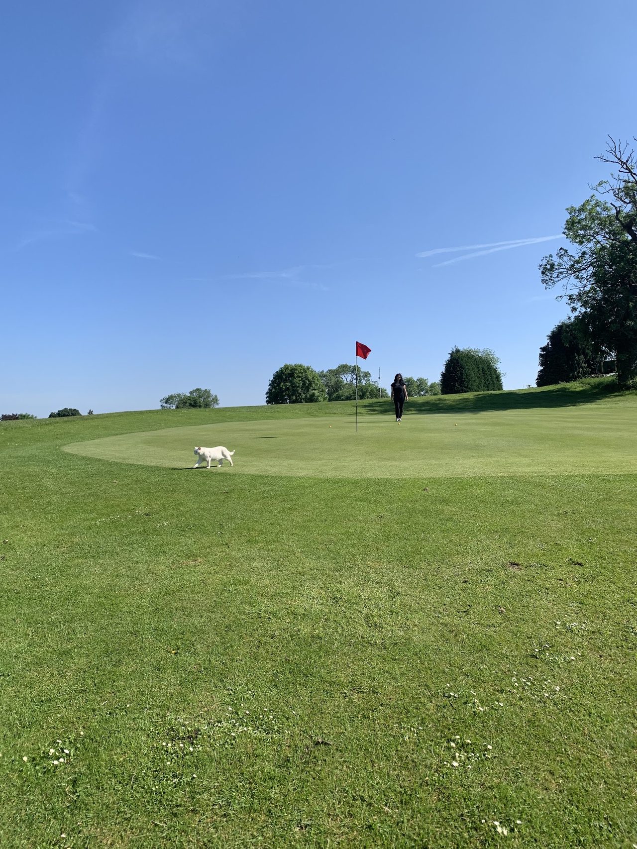 Sedgley Golf Centre