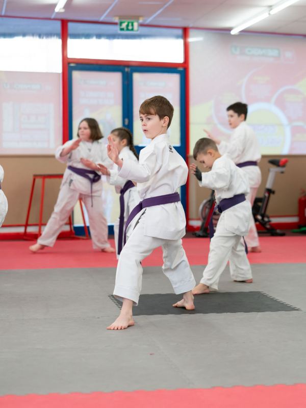 Sengoku Martial Arts