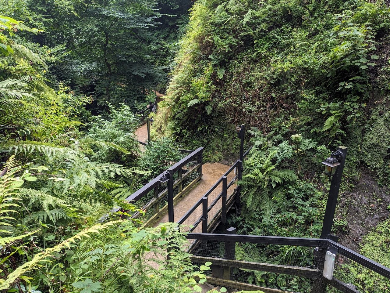 Shanklin Chine Tea Gardens