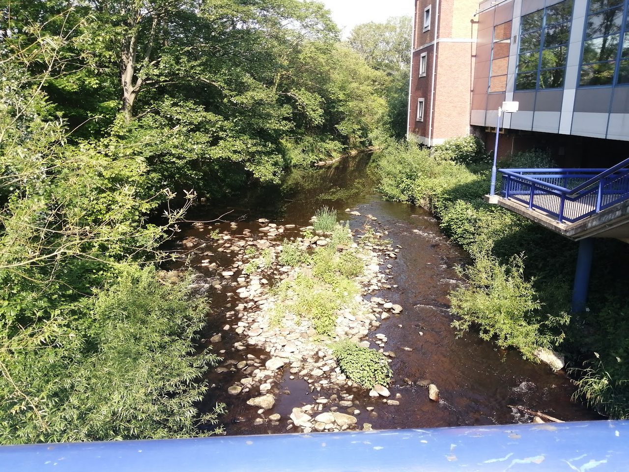 Sheffield Wednesday Training Ground