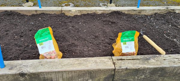 Shettleston Community Growing Project