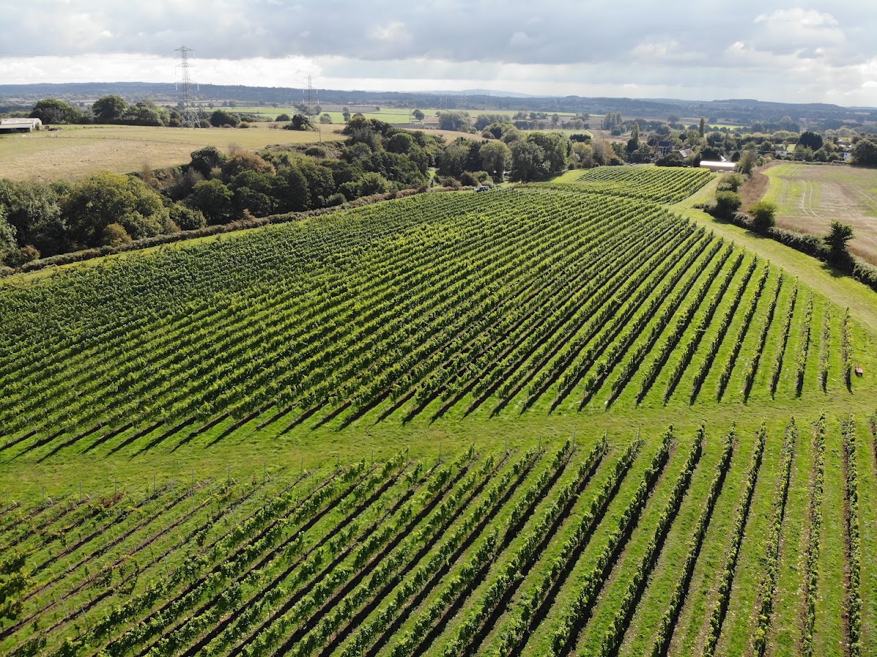 SIP @ Pattingham Vineyards