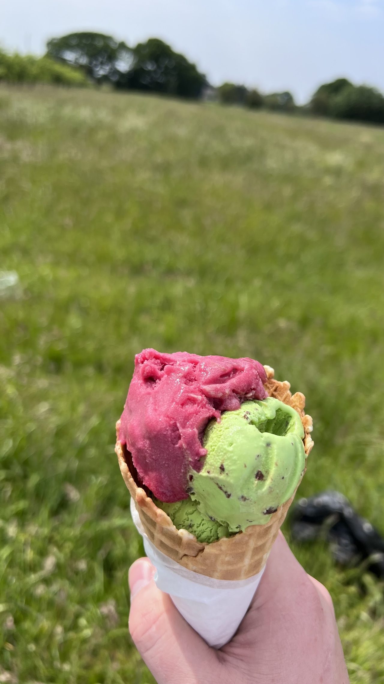 Sprinkles