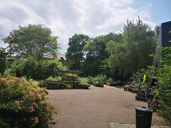 St. Mary's Secret Garden Ltd