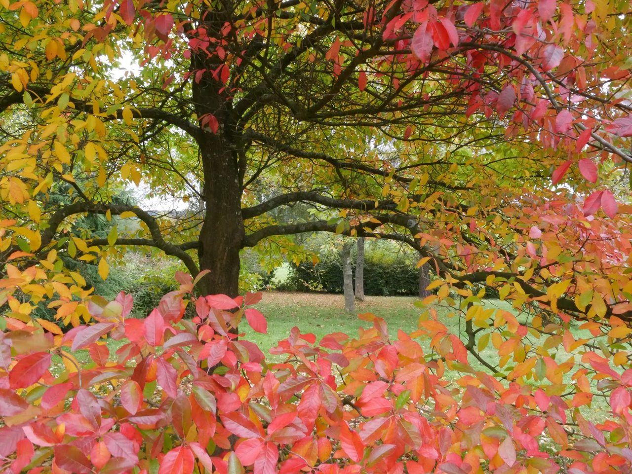 Stable Tea Rooms And Shop At Emmetts Gardens