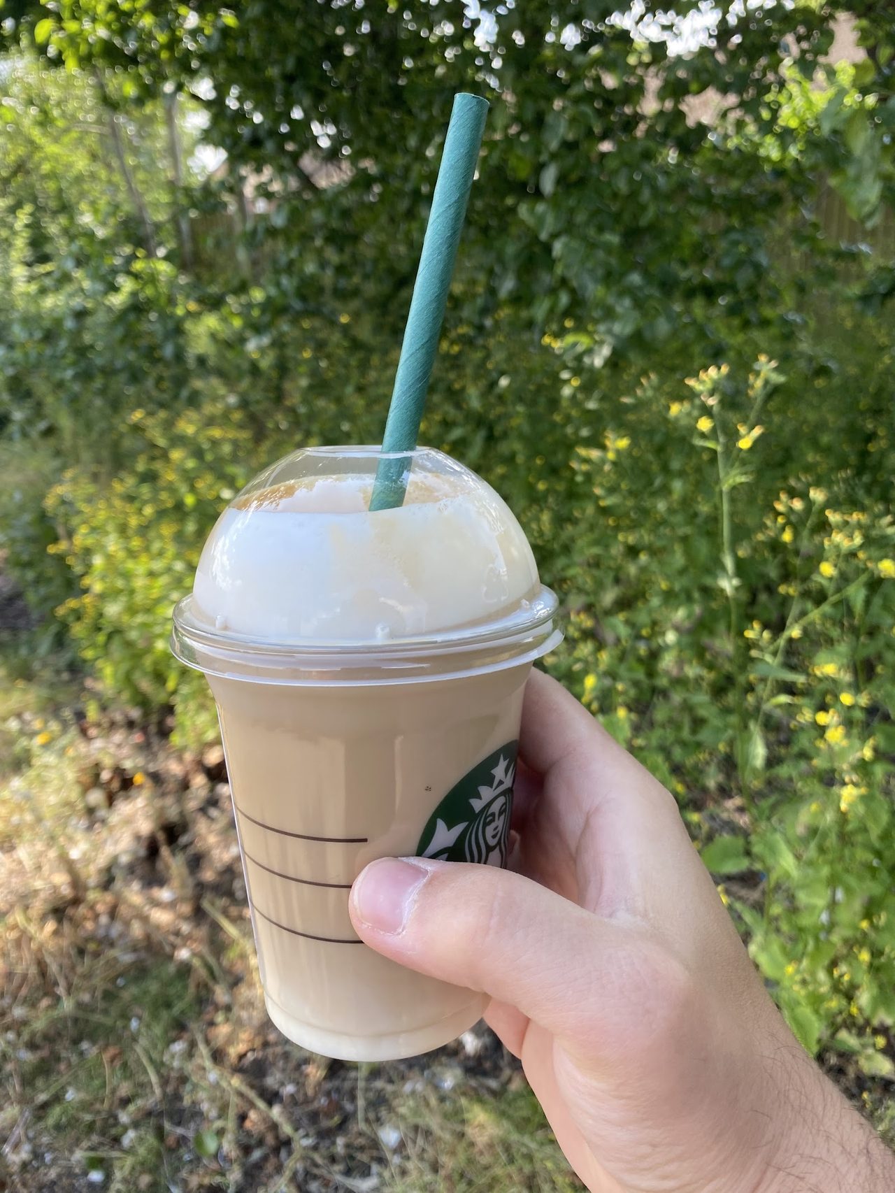 Starbucks Coffee Company