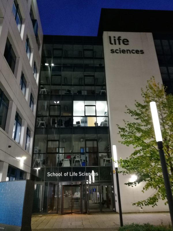 Street Cafe at Life Sciences