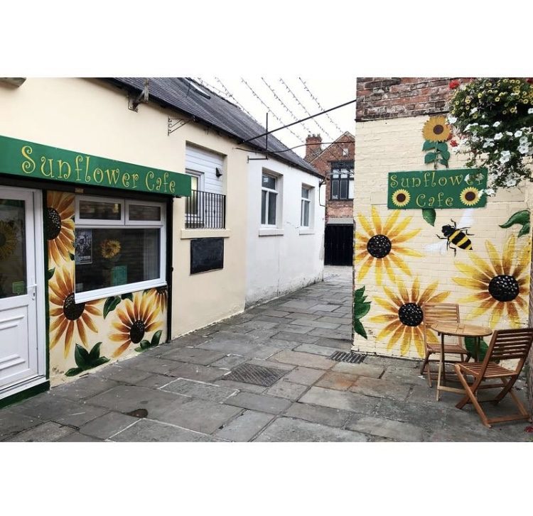 Sunflower