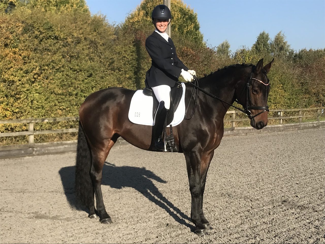 Swallowfield Equestrian