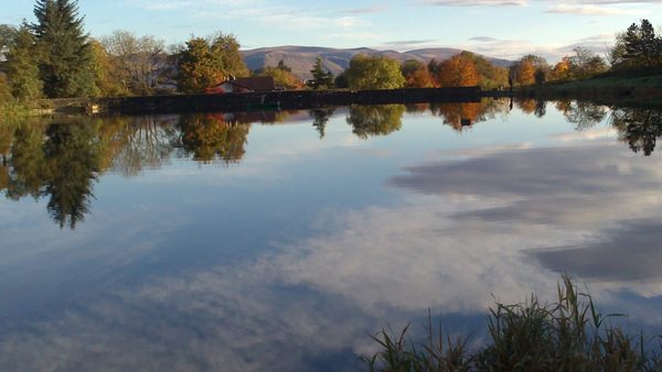 Swanswater Fisheries