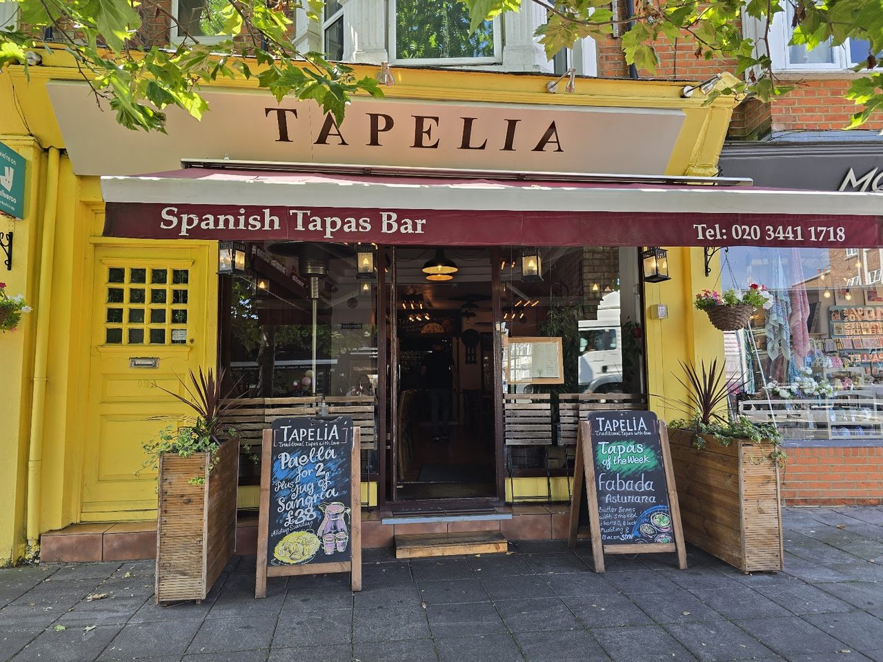 Tapelia