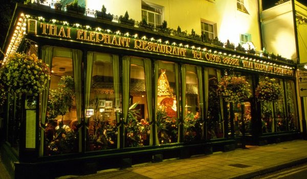 Thai Elephant Restaurant