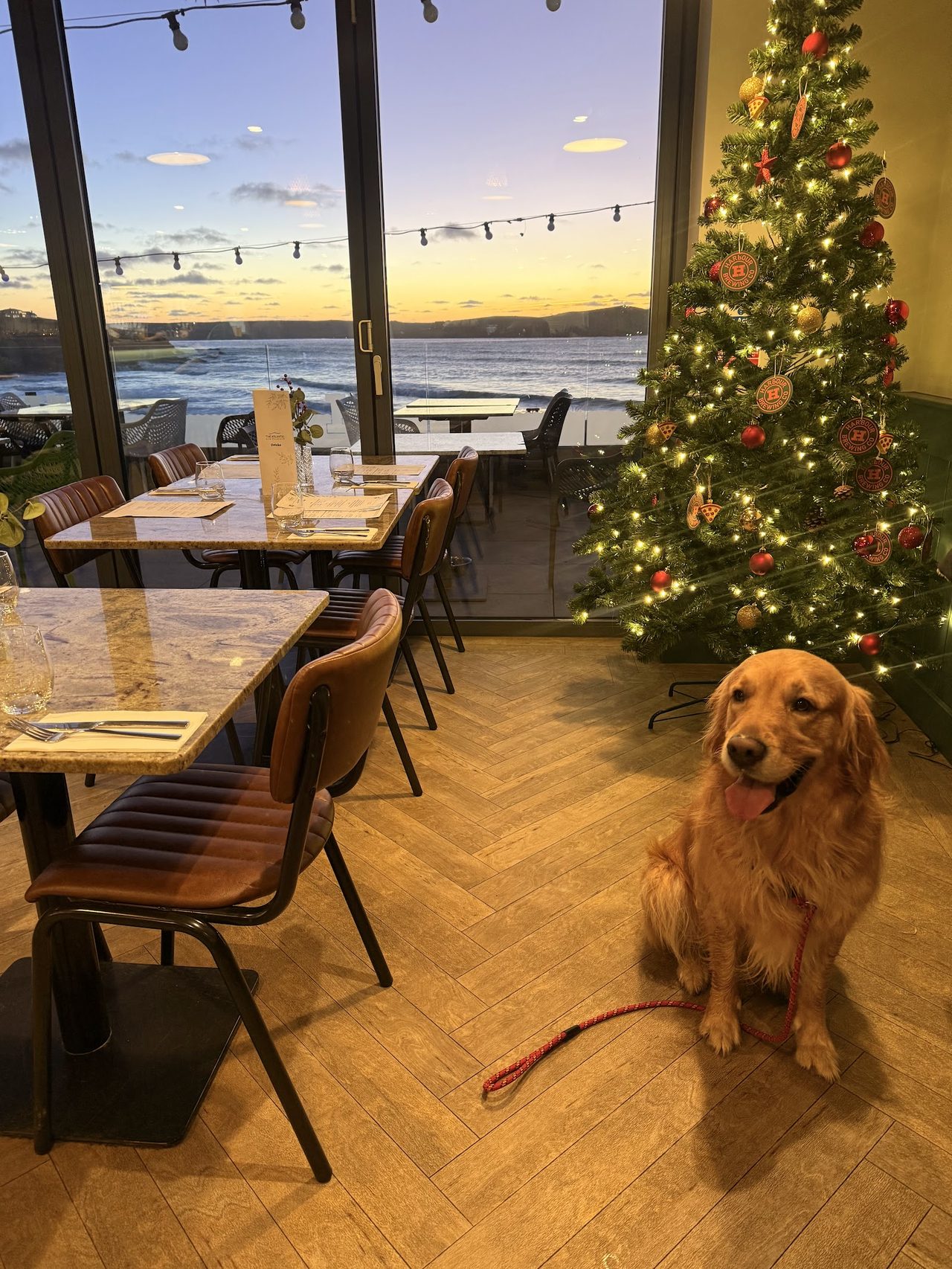 The Atlantic Bar (Polzeath) Limited