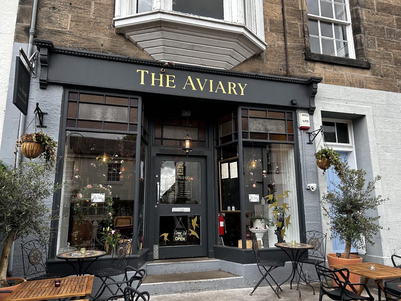 The Aviary At Dollar