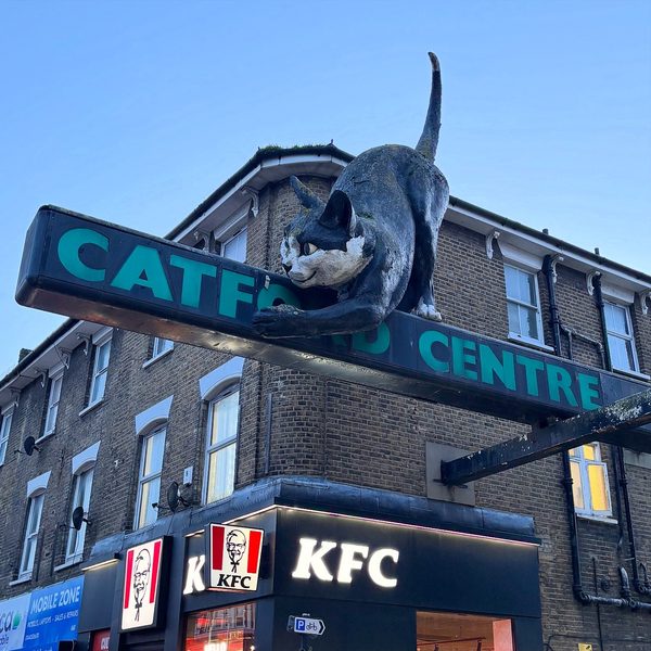 The Black Cat ( Catford Ram