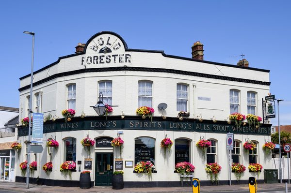 The Bold Forester