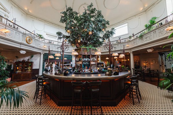 The Botanist