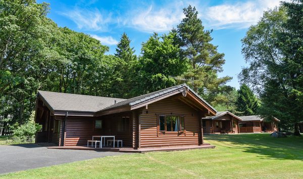 The Cabin