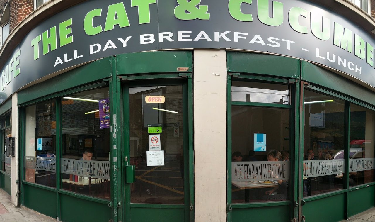 The cat and cucumber cafe