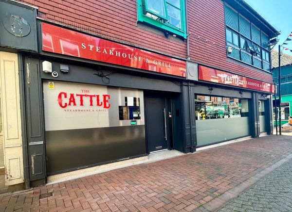 The Cattle