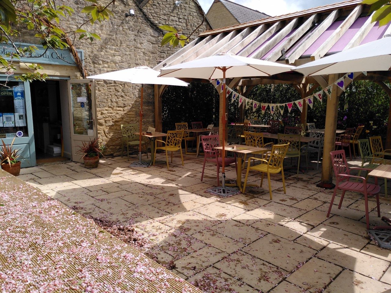 The Cherry Tree